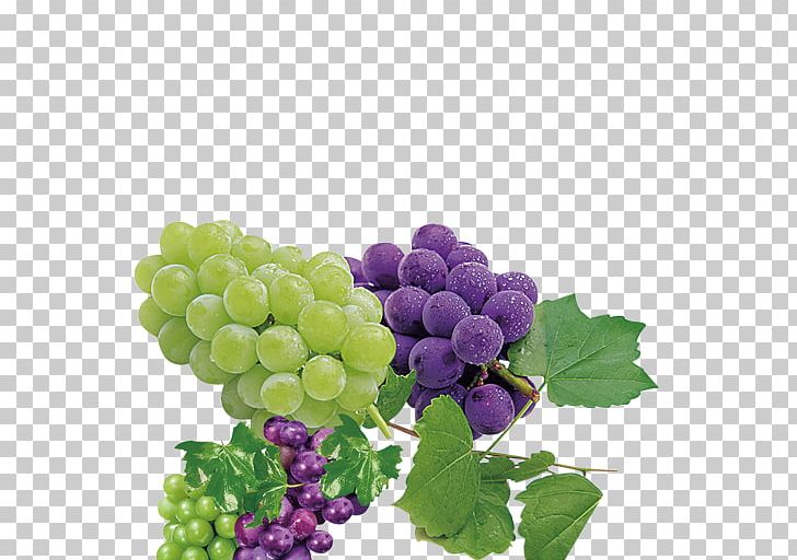 Sultana Grape Purple Auglis Seedless Fruit PNG, Clipart, Black Grapes, Color, Food, Fruit, Fruit Nut Free PNG Download