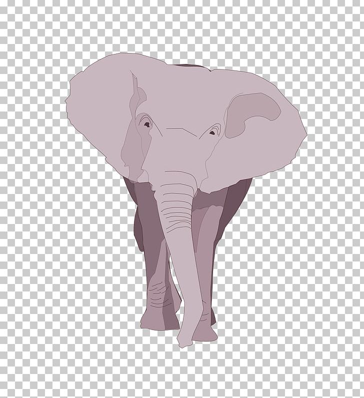 Indian Elephant African Elephant Pink M Wildlife PNG, Clipart, African Elephant, Animal, Animals, Elephant, Elephants And Mammoths Free PNG Download