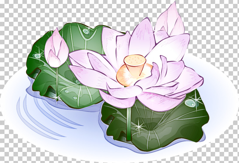 Lotus PNG, Clipart, Anthurium, Aquatic Plant, Flower, Leaf, Lotus Free PNG Download