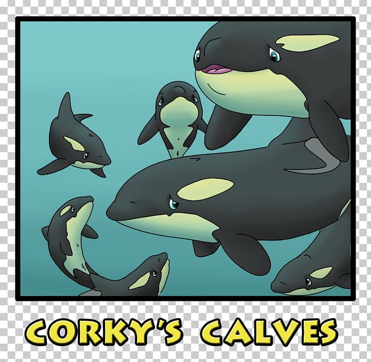 Captive Killer Whales Porpoise Dolphin Corky PNG, Clipart, Animals, Captive Killer Whales, Captivity, Cartoon, Cetacea Free PNG Download