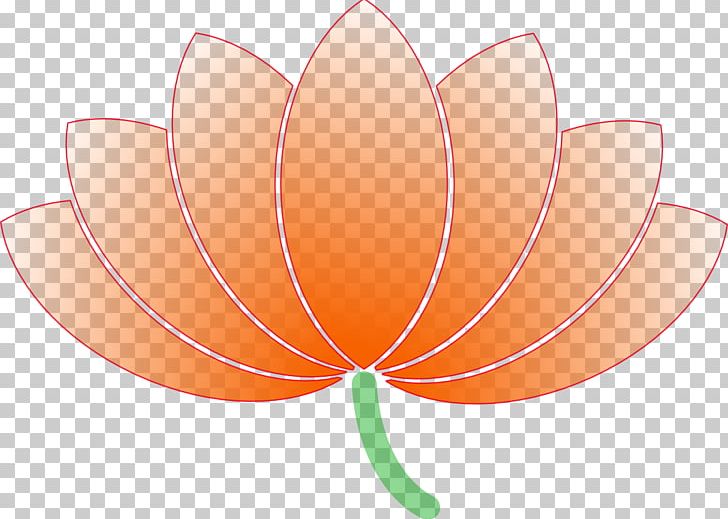 Nelumbo Nucifera Flower Egyptian Lotus PNG, Clipart, Color, Coloring Book, Common Sunflower, Computer Icons, Computer Wallpaper Free PNG Download