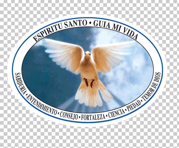 Divinity Editorial Santa María Saint Tribe God PNG, Clipart, Angel, Child, Description, Divinity, God Free PNG Download