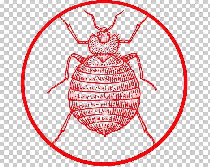 Insect Bed Bug Bite Pest PNG, Clipart, Animals, Area, Art, Artwork, Bed Free PNG Download