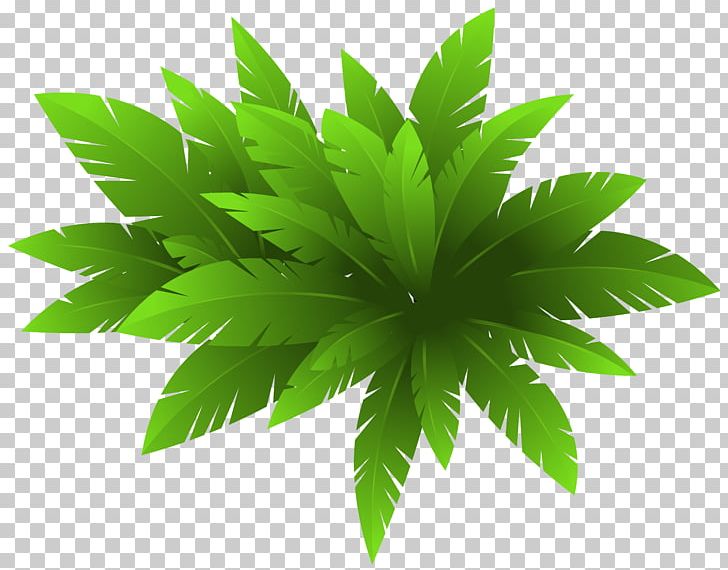 Plant Vine PNG, Clipart, Art, Cannabaceae, Cannabis, Computer Icons, Coreldraw Free PNG Download