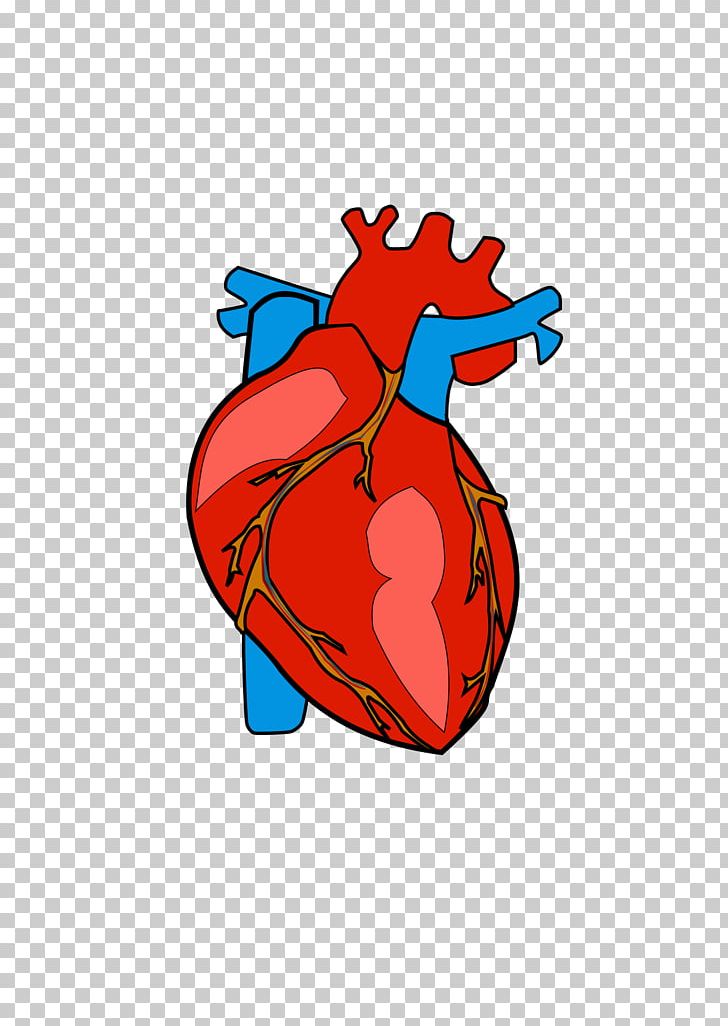 transparent background heart clipart
