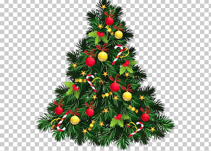 Christmas Tree Christmas Ornament PNG, Clipart, Advent, Christmas, Christmas Decoration, Christmas Ornament, Christmas Tree Free PNG Download