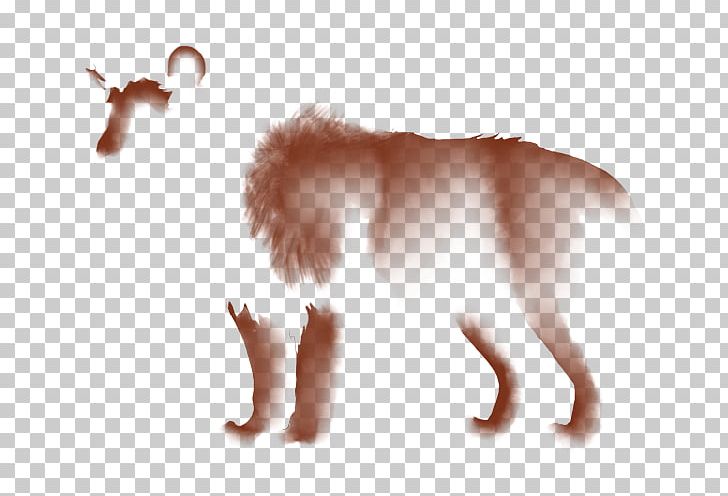 Dog Breed Puppy Snout Fur PNG, Clipart, Animals, Breed, Carnivoran, Dog, Dog Breed Free PNG Download
