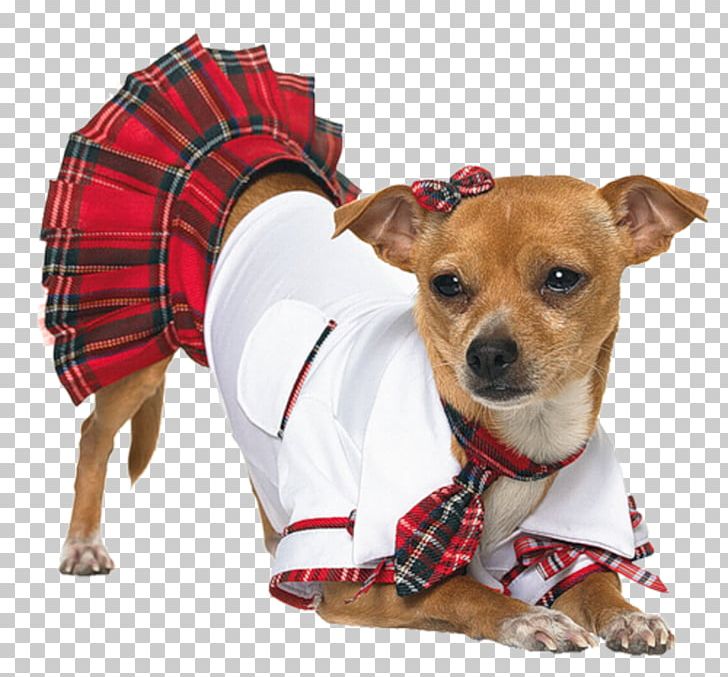 Dog Puppy Halloween Costume Woman PNG, Clipart, Animals, Baby Clothes, Buycostumescom, Carnivoran, Chihuahua Free PNG Download