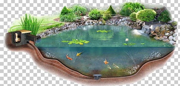 Pond Liner Garden Pond Water Garden Aquatic Plants PNG, Clipart, Aquatic Plants, Garden, Garden Pond, Grass, Koi Free PNG Download