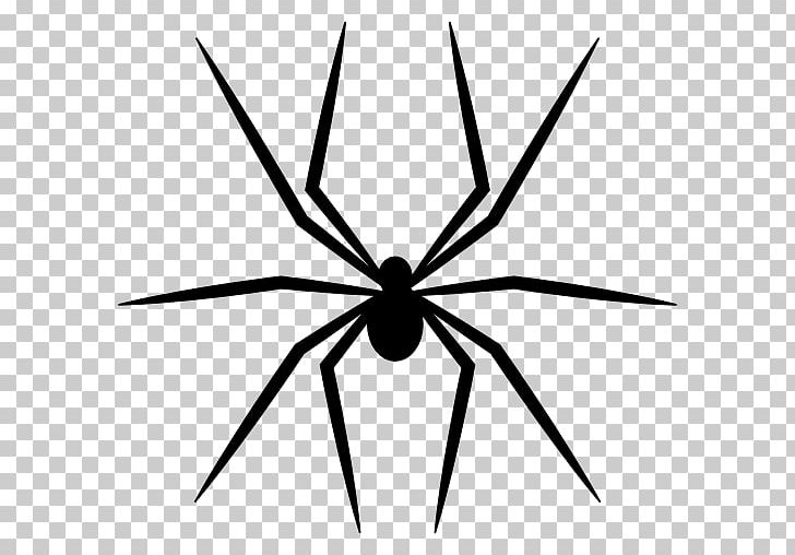 Spider Slope Down: First Trip Collect Circles Shape PNG, Clipart, Angle, Animal, Arachnid, Arthropod, Black And White Free PNG Download