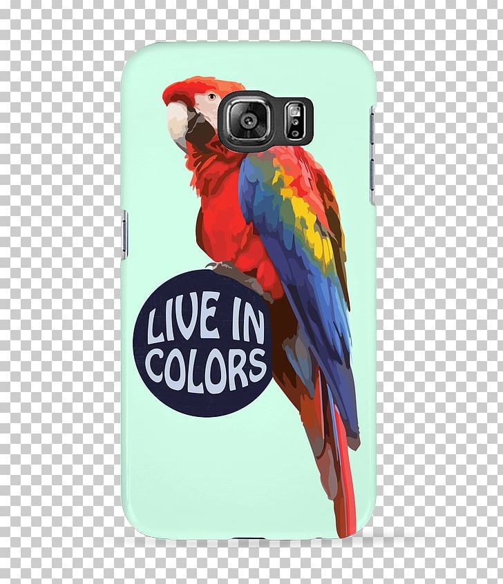 T-shirt IPhone 6S Macaw Bird Parrot PNG, Clipart, Beak, Bird, Clothing, Color, Grey Parrot Free PNG Download