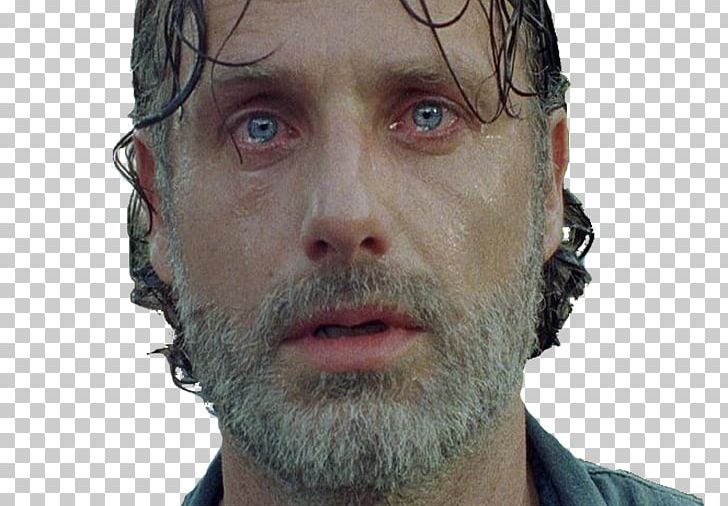 Andrew Lincoln The Walking Dead San Diego Comic-Con Michonne Rick Grimes PNG, Clipart, Actor, Amc, Andrew Lincoln, Beard, Chin Free PNG Download