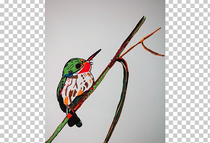 Bird Vision Beak Wing Water Bird PNG, Clipart, Animals, Beak, Bird, Birds, Bird Vision Free PNG Download
