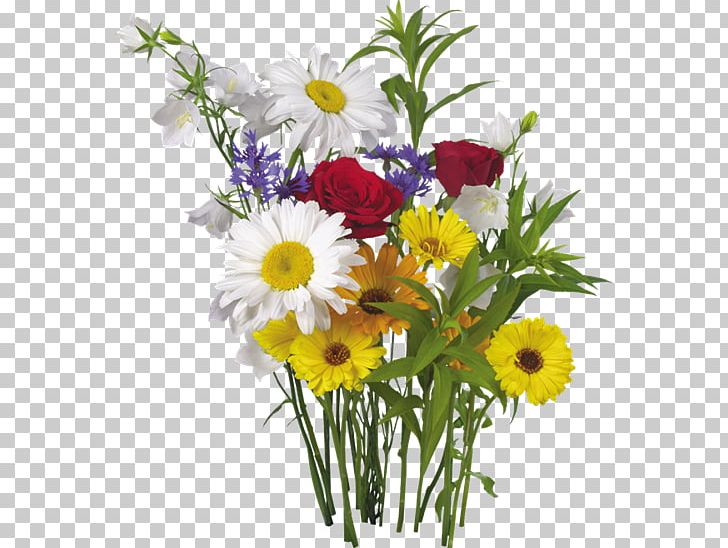 Desktop Flower PNG, Clipart, Annual Plant, Artificial Flower, Aster, Chamaemelum Nobile, Chrysanths Free PNG Download