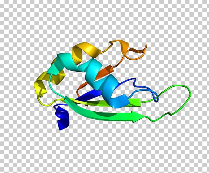 PABPN1 Poly(A)-binding Protein Oculopharyngeal Muscular Dystrophy Polyadenylation PNG, Clipart, Animal Figure, Area, Art, Artwork, Bind Free PNG Download