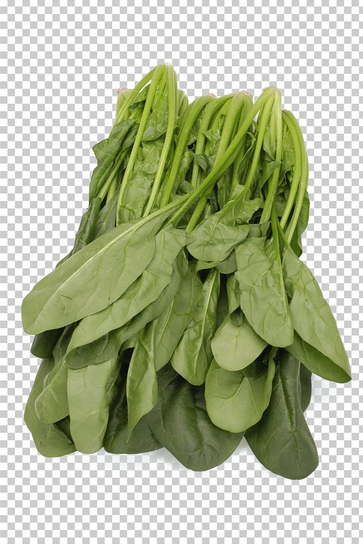 Spinach Leaf Vegetable PNG, Clipart, Basil, Cabbage, Cabbage Leaves, Cabbage Roses, Cartoon Cabbage Free PNG Download