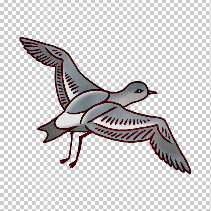 Feather PNG, Clipart, Beak, Duck, Feather, Paint, Seabird Free PNG Download