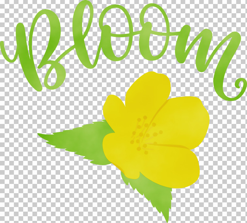 Flower Plant Stem Helvetia Community Church Petal PNG, Clipart, Bloom, Flower, Fruit, Green, Leaf Free PNG Download