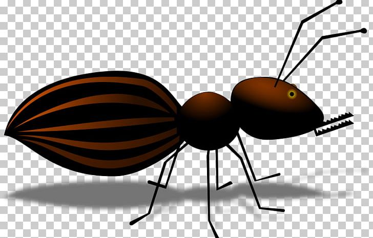 Ant Insect Cartoon PNG, Clipart, Animals, Ant, Arthropod, Black Garden Ant, Cartoon Free PNG Download