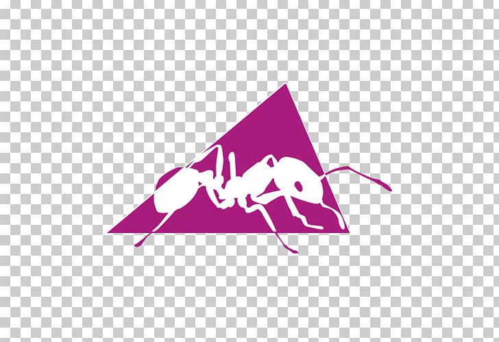 Apache Ant Software Build Java Apache HTTP Server Apache Maven PNG, Clipart, Angle, Apache Ant, Apache Http Server, Apache Ivy, Apache Software Foundation Free PNG Download