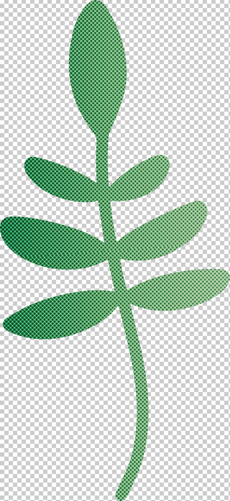 Leaf Plant Stem Tree Flower Green PNG, Clipart, Flower, Green, Leaf, Line, M Free PNG Download