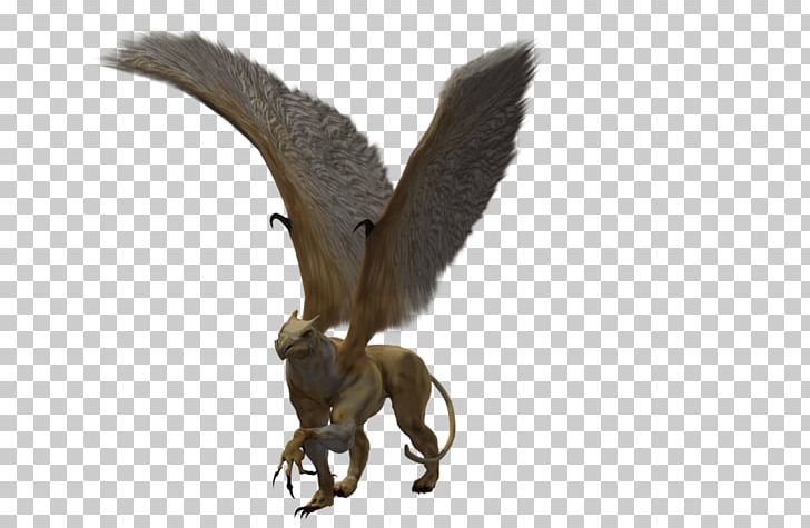 4 May Kentrosaurus Griffin Rendering PNG, Clipart, 4 May, Beak, Bird Of Prey, Deviantart, Download Free PNG Download