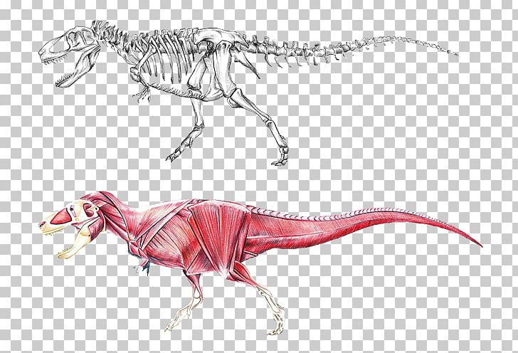 Tyrannosaurus Brachiosaurus Dinosaur Allosaurus Stegosaurus PNG, Clipart, Allosaurus, Anatomia Animal, Anatomy, Animal Figure, Bone Free PNG Download