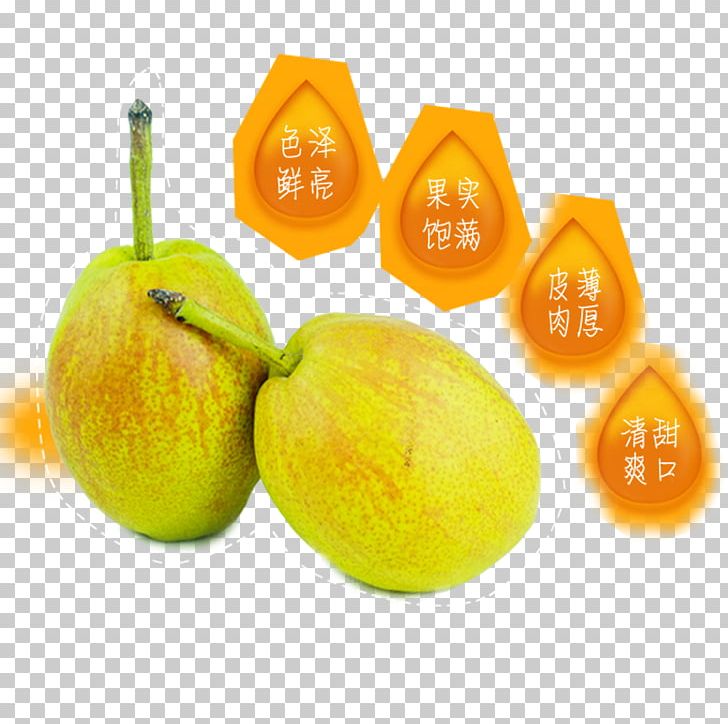 Tangelo Pear Fruit Food PNG, Clipart, Advertisement, Apple Pears, Auglis, Citric Acid, Citrus Free PNG Download