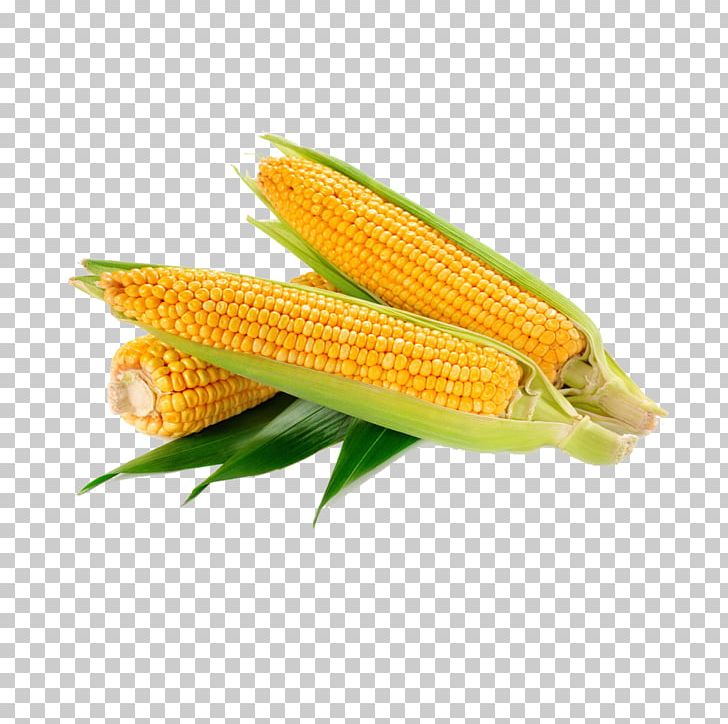 Waxy Corn Vegetable Crop Food Sweet Corn PNG, Clipart, Cartoon Corn, Caryopsis, Coix Lacrymajobi, Commodity, Corn Free PNG Download