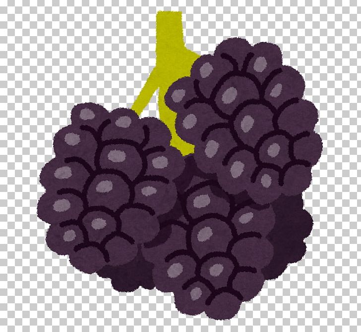 Grape Boysenberry Smoothie Fruit Food PNG, Clipart, Antioxidant, Berry, Blackberry, Blackberry Fruit, Boysenberry Free PNG Download