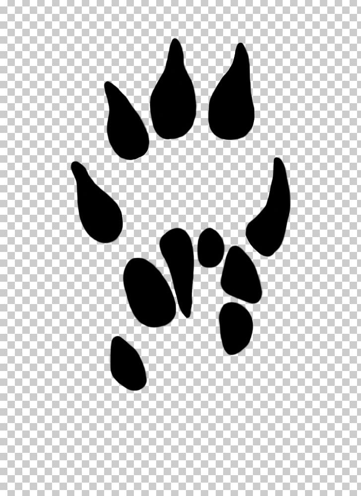 Paw Dog Common Shrew PNG, Clipart, Animal, Animal Track, Black, Black And White, Common Shrew Free PNG Download
