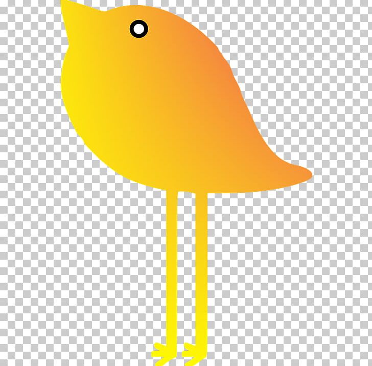Bird PNG, Clipart, Animals, Beak, Bird, Download, Drawing Free PNG Download