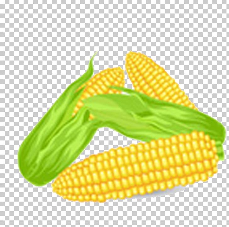 Corn On The Cob Kettle Corn Maize Drawing PNG, Clipart, Cartoon Corn, Commodity, Corn, Corn Cartoon, Corn Flakes Free PNG Download