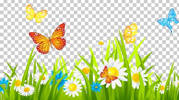 Flower Garden Lawn Gardening PNG, Clipart, Brush Footed Butterfly, Butterfly, Computer Wallpaper, Flower, Flower Garden Free PNG Download