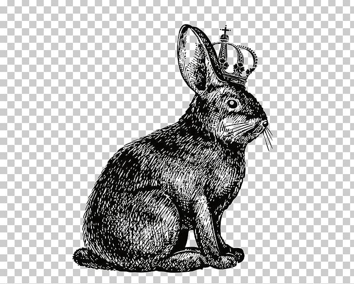 Hare Rabbit Show Jumping Drawing PNG, Clipart, Animals, Art, Black, Black And White, Cottontail Rabbit Free PNG Download