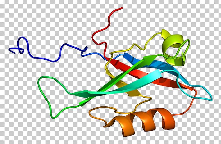 INADL PDZ Domain Protein Gene InaD-like (Drosophila) PNG, Clipart, 2 D, 2 N 2, Area, Artwork, Cell Free PNG Download