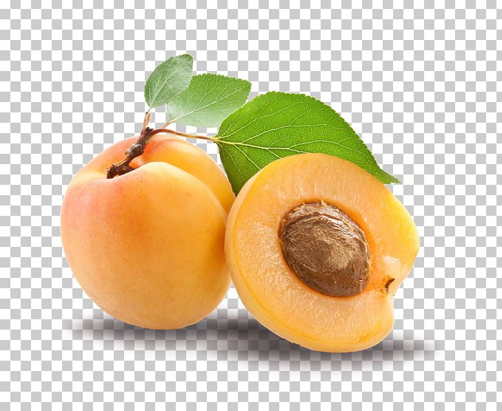 Apricot Kernel Apricot Oil Amygdalin PNG, Clipart, Apricot, Apricot Kernel, Apricot Oil, Burusho People, Carrier Oil Free PNG Download