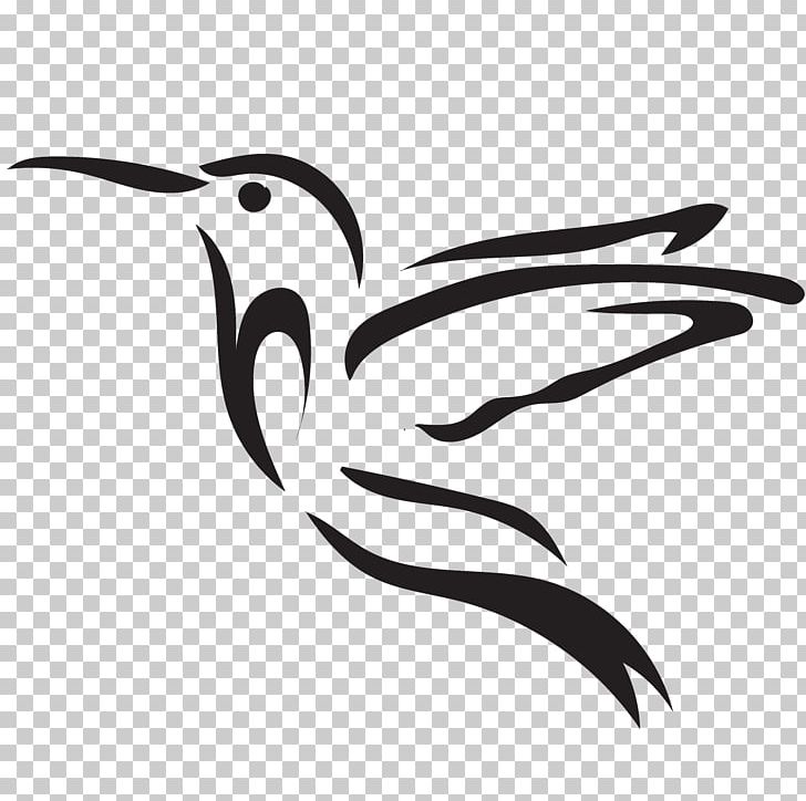 Beak Endangered Species Water Bird Phaistos PNG, Clipart, Bald Uakari, Beak, Bird, Black And White, Endangered Species Free PNG Download