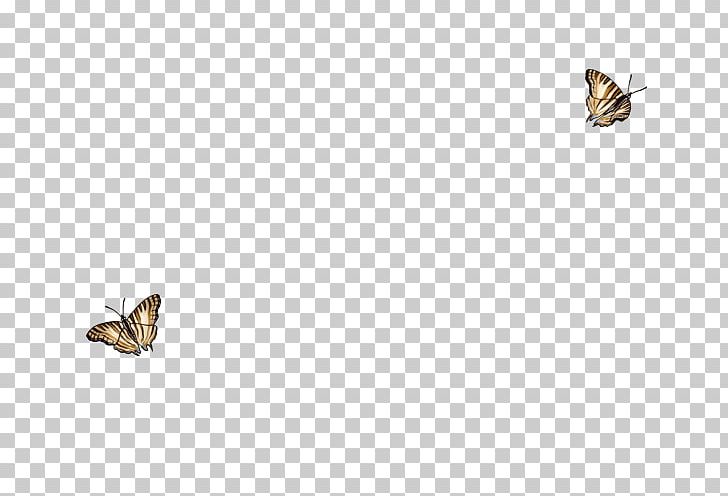 Brush-footed Butterflies Moth Butterfly Insect Wing PNG, Clipart, African Map, Arthropod, Brush Footed Butterfly, Butterfly, Fauna Free PNG Download