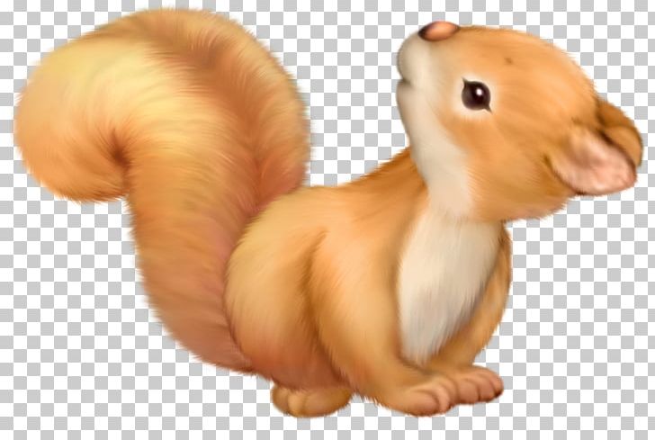 Eastern Gray Squirrel American Red Squirrel PNG, Clipart, American Red Squirrel, Animal Figure, Canidae, Cartoon, Desktop Wallpaper Free PNG Download
