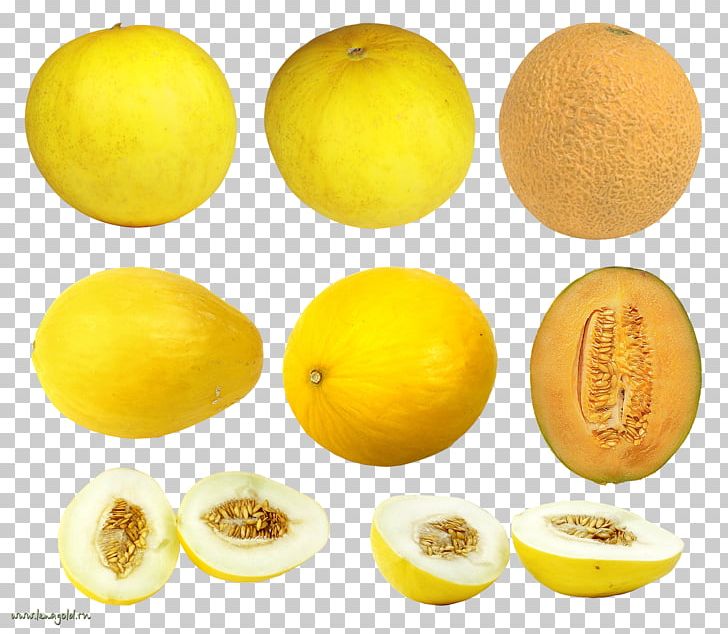 Hami Melon Food PNG, Clipart, Citric Acid, Citron, Citrus, Cucumber, Encapsulated Postscript Free PNG Download