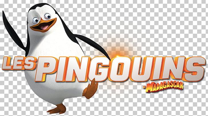 Penguin Kowalski Skipper PNG, Clipart, Animaatio, Animals, Beak, Bird, Brand Free PNG Download
