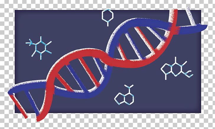 Brand PNG, Clipart, Area, Art, Blue, Brand, Dna Day Free PNG Download