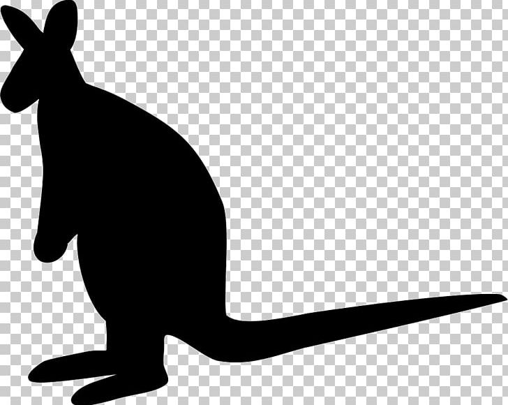 Cat Kangaroo Dog Tail PNG, Clipart, Animals, Artwork, Black, Black And White, Black M Free PNG Download