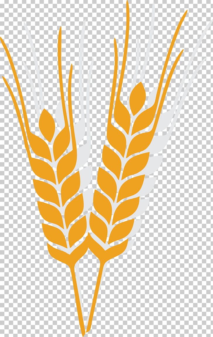 Oat PNG, Clipart, Adobe Illustrator, Advertising, Animation, Cartoon, Commodity Free PNG Download