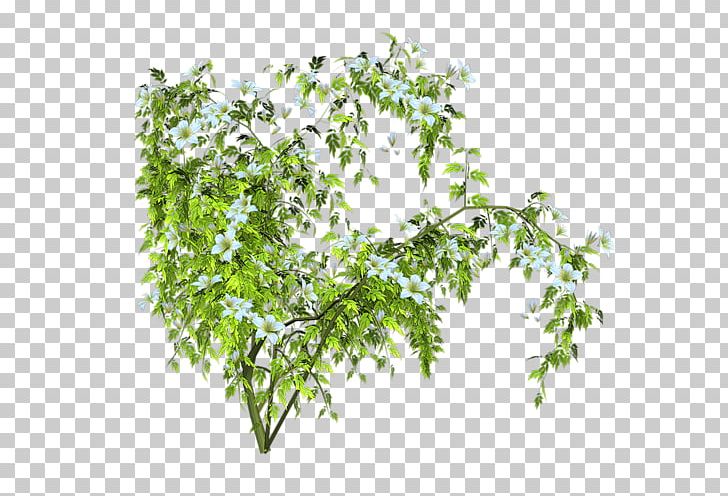 Shrub Digital Tree PNG, Clipart, Branch, Desktop Wallpaper, Digital Image, Guelderrose, Herb Free PNG Download