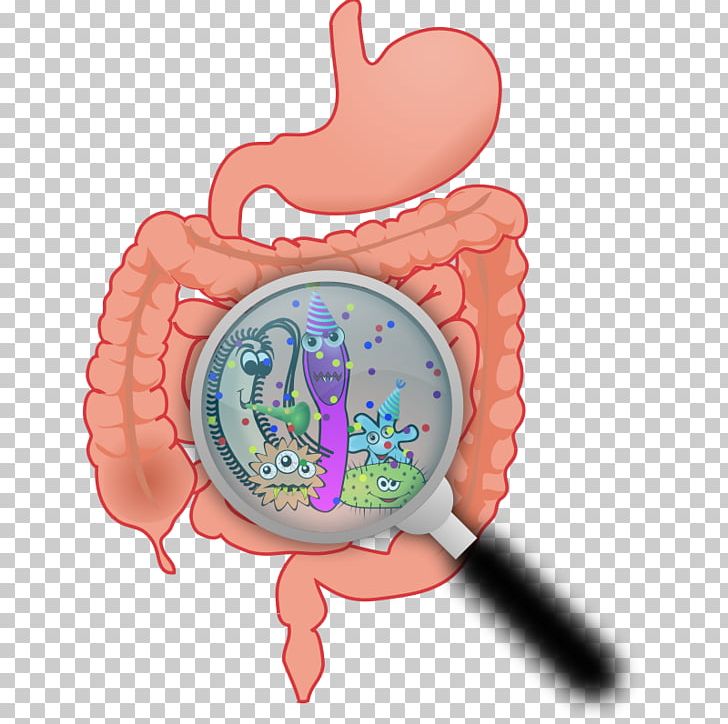Dietary Supplement Gastrointestinal Tract Digestion Human Body Human Digestive System PNG, Clipart, Bacteria, Dietary Supplement, Digestion, Disease, Dysbiosis Free PNG Download