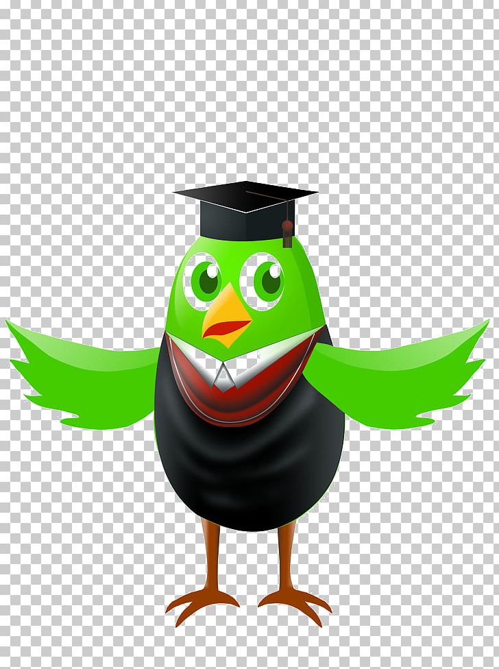 Little Owl Hat PNG, Clipart,  Free PNG Download