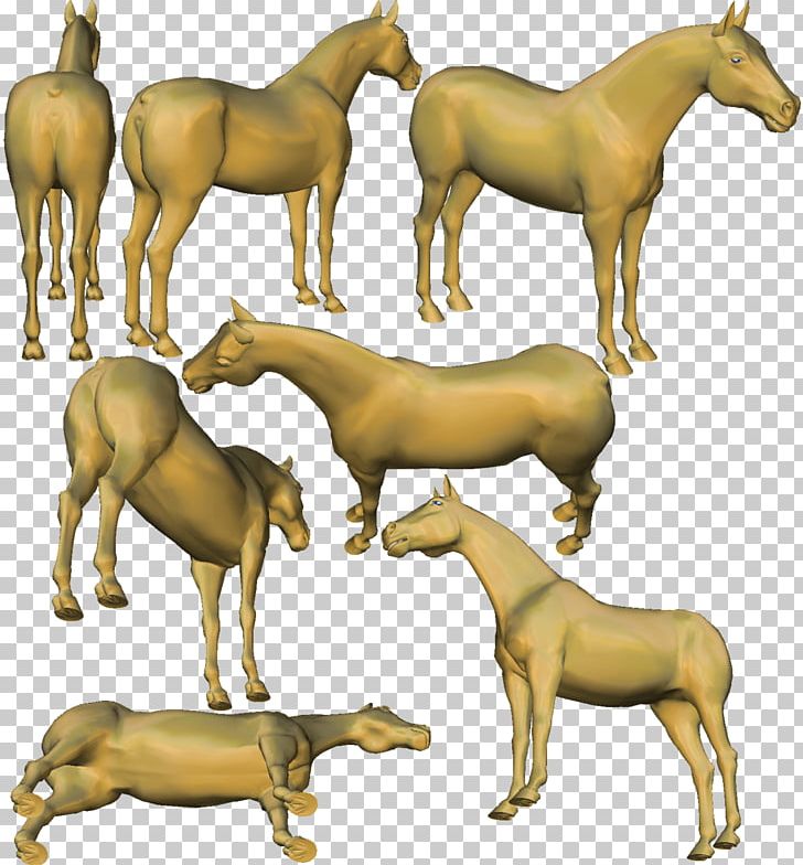 Mustang Cattle Mane Pack Animal Donkey PNG, Clipart, Animal, Cattle, Cattle Like Mammal, Donkey, Fauna Free PNG Download