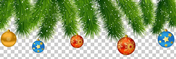 Christmas Decoration Christmas Ornament Santa Claus PNG, Clipart, Branch, Candle, Christmas, Christmas Clipart, Christmas Decoration Free PNG Download